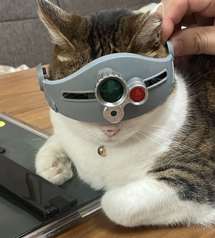 장갑기병 보톰냥_2.jpg