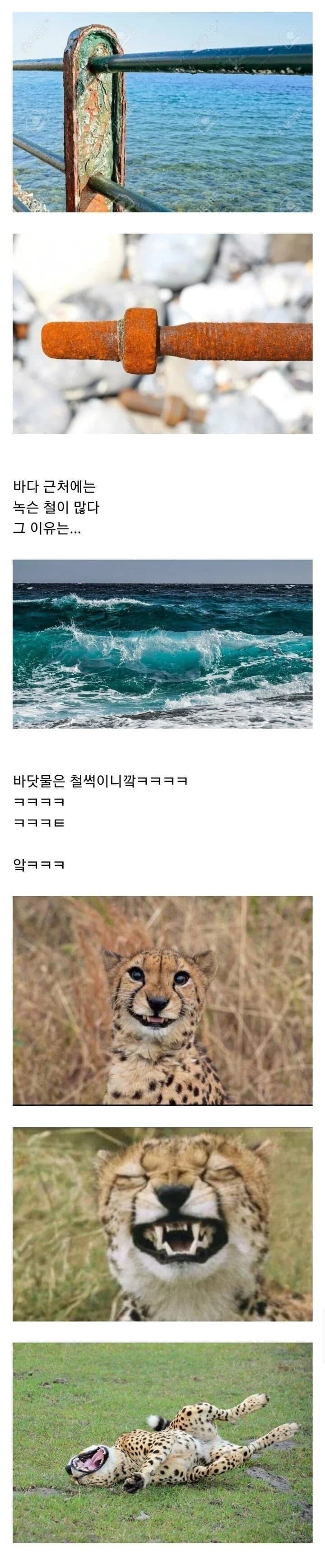 철이 바닷가에 가면 녹스는이유_1.jpg