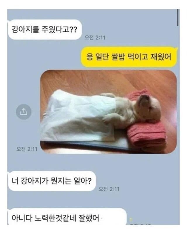 강아지를 주웠다고?_1.jpg