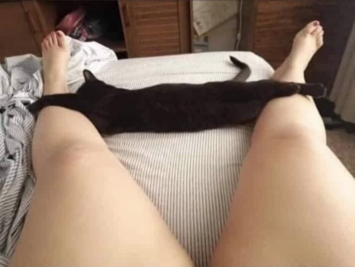 자고 있을때 팬티가 벗겨져 있는 이유 ㄷㄷㄷ_1.jpg