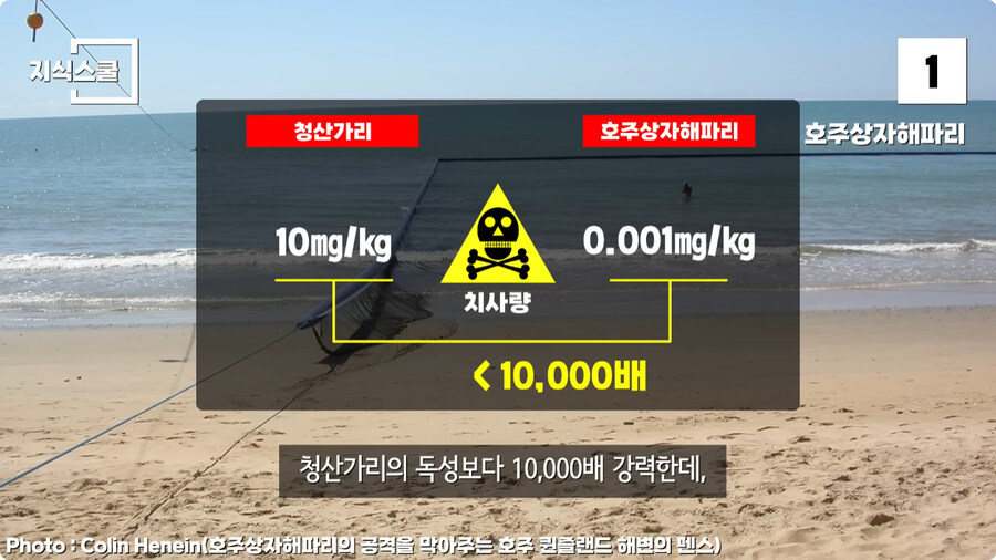 지구에서 독이 가장 강력한 생물.jpg_8.jpg