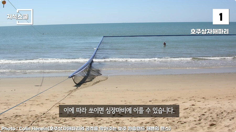 지구에서 독이 가장 강력한 생물.jpg_9.jpg