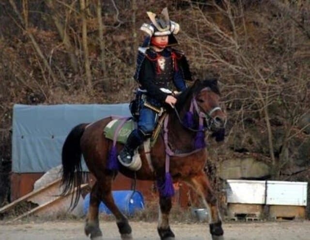 일본 전국시대에 기병이 적은 이유_4.jpg