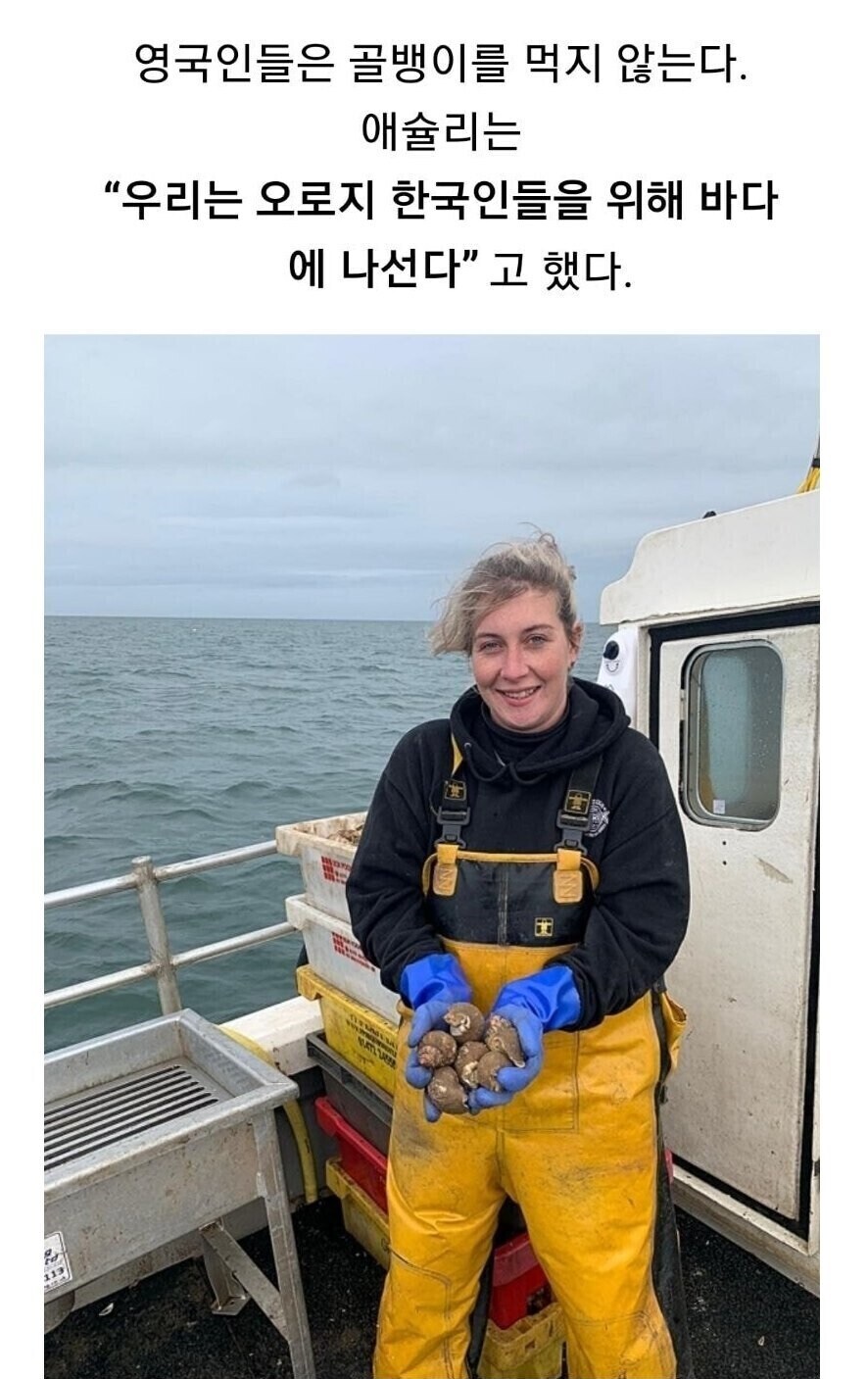 우리는 오로지 한국인들을 위해 바다에 나선다.jpg_1.png