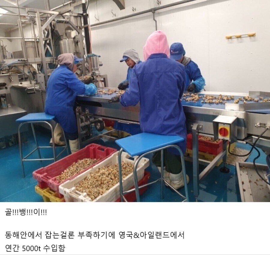 우리는 오로지 한국인들을 위해 바다에 나선다.jpg_2.png