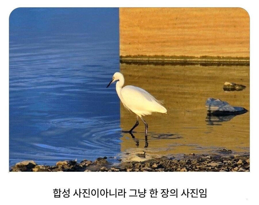 AI쉨 또 고장났네 ㅋㅋ_1.png