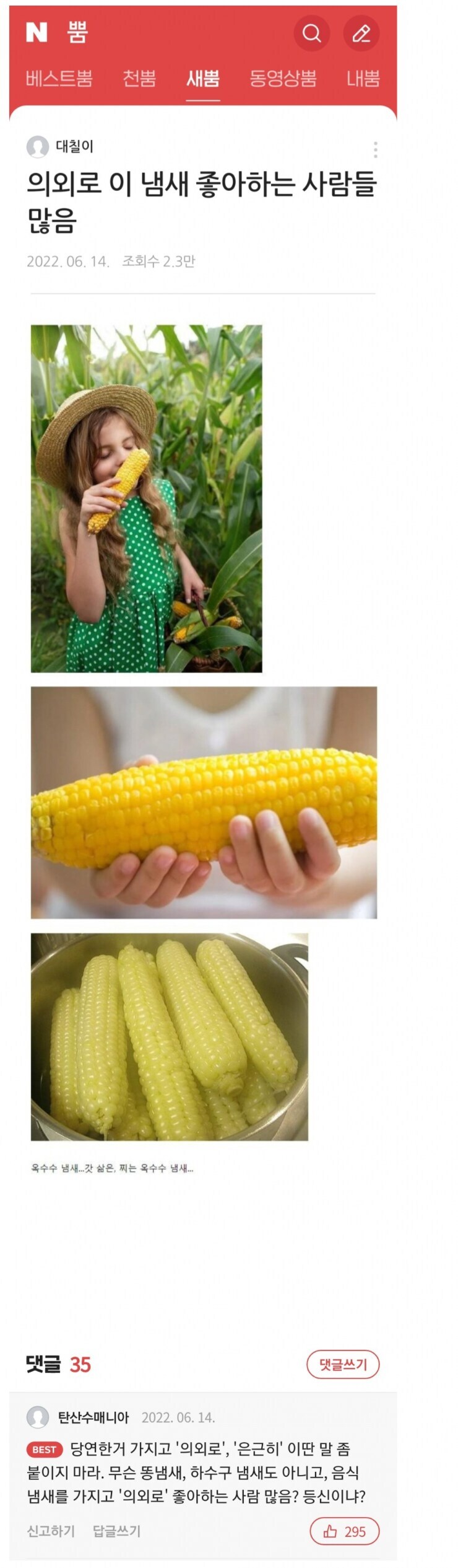 인터넷에서 호불호, 은근히, 의외로 쓰는 이유.jpg_1.png