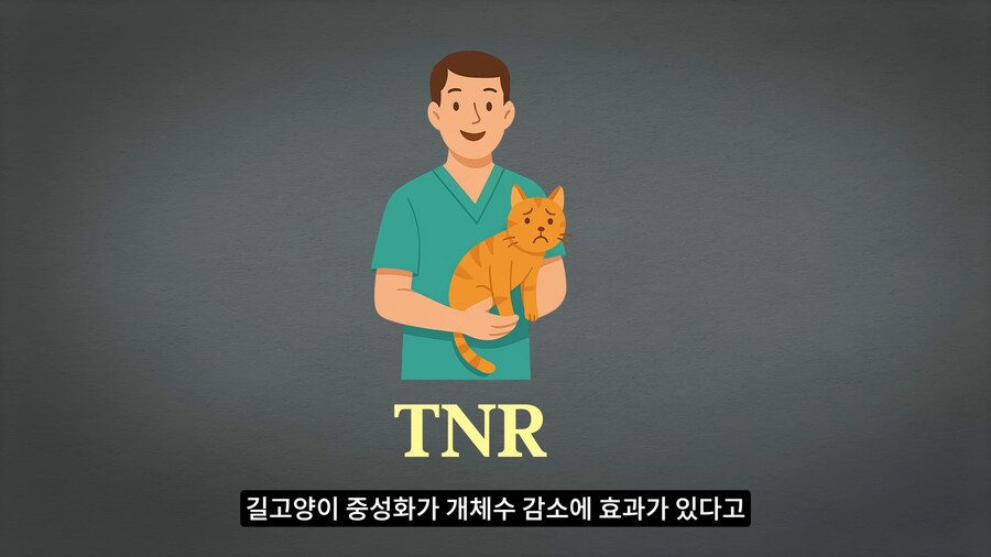 길고양이 거세 정책이 효과가 있다는 거짓말_1.png