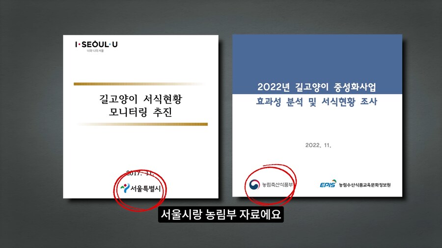 길고양이 거세 정책이 효과가 있다는 거짓말_4.png