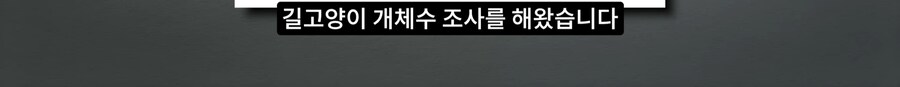길고양이 거세 정책이 효과가 있다는 거짓말_9.png