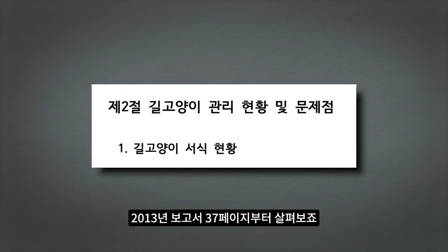 길고양이 거세 정책이 효과가 있다는 거짓말_11.png