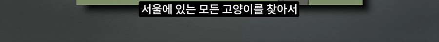 길고양이 거세 정책이 효과가 있다는 거짓말_14.png