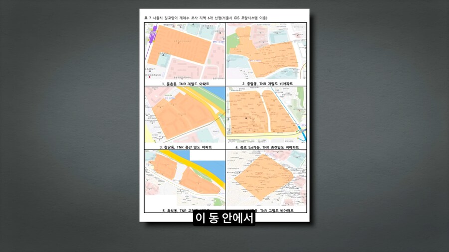 길고양이 거세 정책이 효과가 있다는 거짓말_23.png