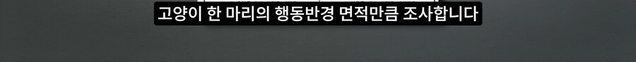 길고양이 거세 정책이 효과가 있다는 거짓말_24.png