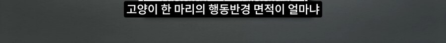 길고양이 거세 정책이 효과가 있다는 거짓말_25.png