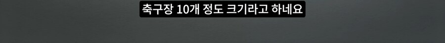 길고양이 거세 정책이 효과가 있다는 거짓말_27.png