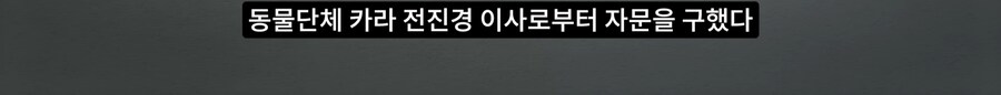 길고양이 거세 정책이 효과가 있다는 거짓말_28.png