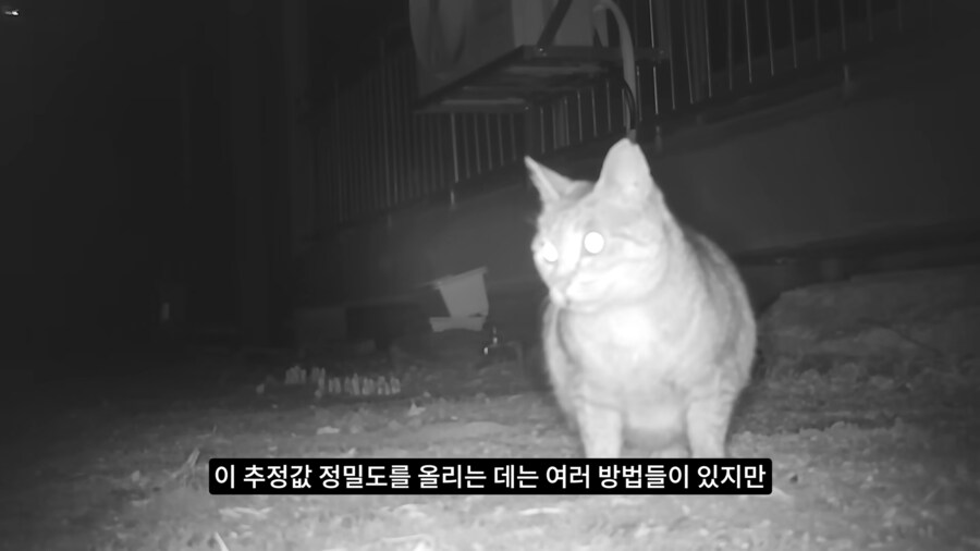 길고양이 거세 정책이 효과가 있다는 거짓말_35.png