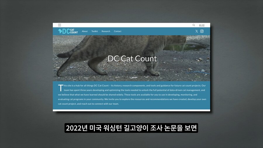 길고양이 거세 정책이 효과가 있다는 거짓말_39.png