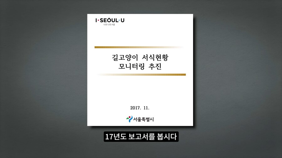 길고양이 거세 정책이 효과가 있다는 거짓말_53.png