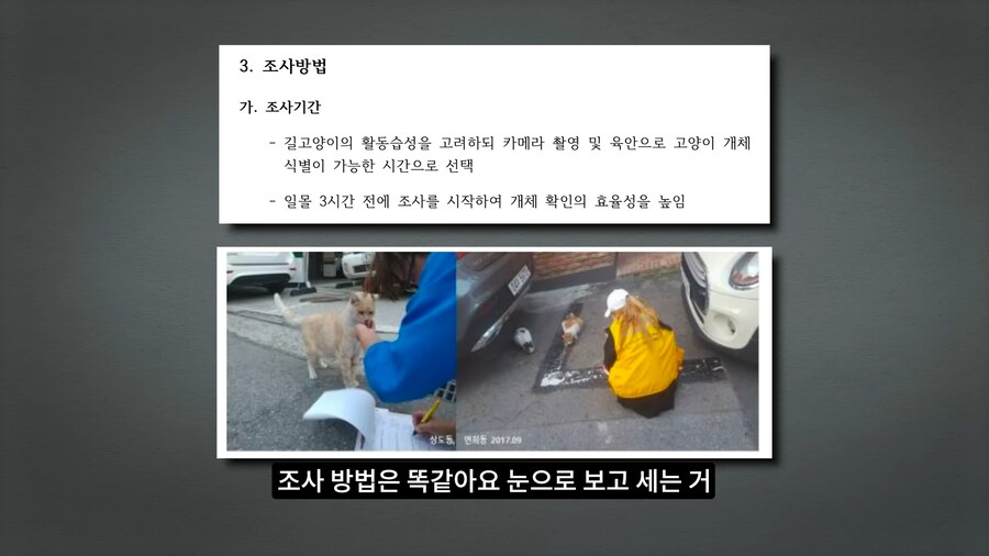 길고양이 거세 정책이 효과가 있다는 거짓말_55.png