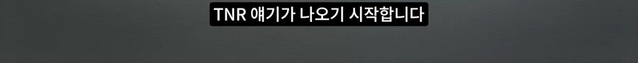 길고양이 거세 정책이 효과가 있다는 거짓말_59.png