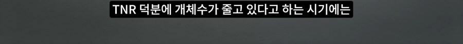 길고양이 거세 정책이 효과가 있다는 거짓말_65.png