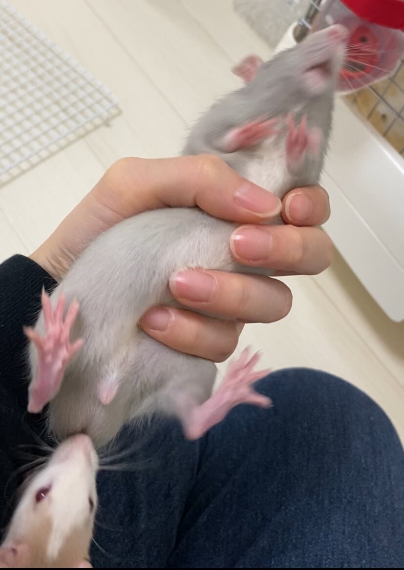딜유깟디스_1.jpg