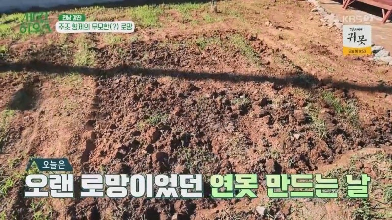 대한민국에 살면서 함부로 땅 파지마라._6.jpg