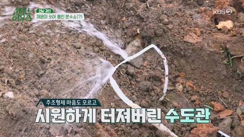 대한민국에 살면서 함부로 땅 파지마라._29.jpg