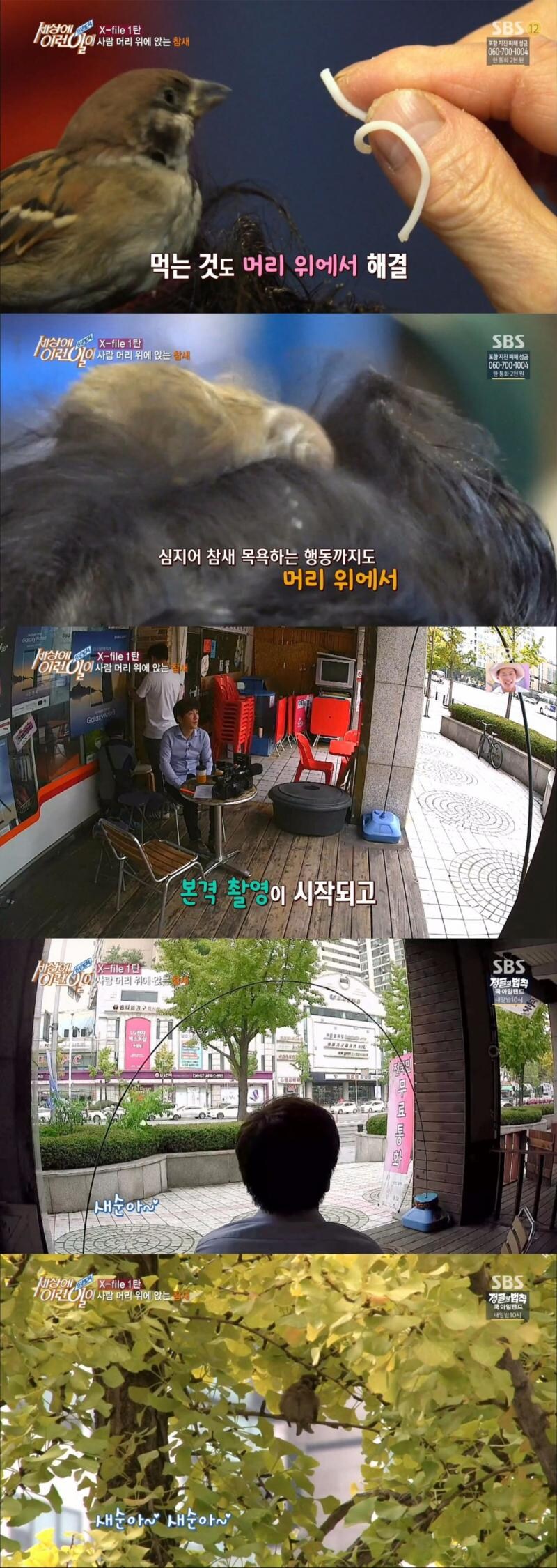 국내 방송중 돌발상황 레전드_1.jpg