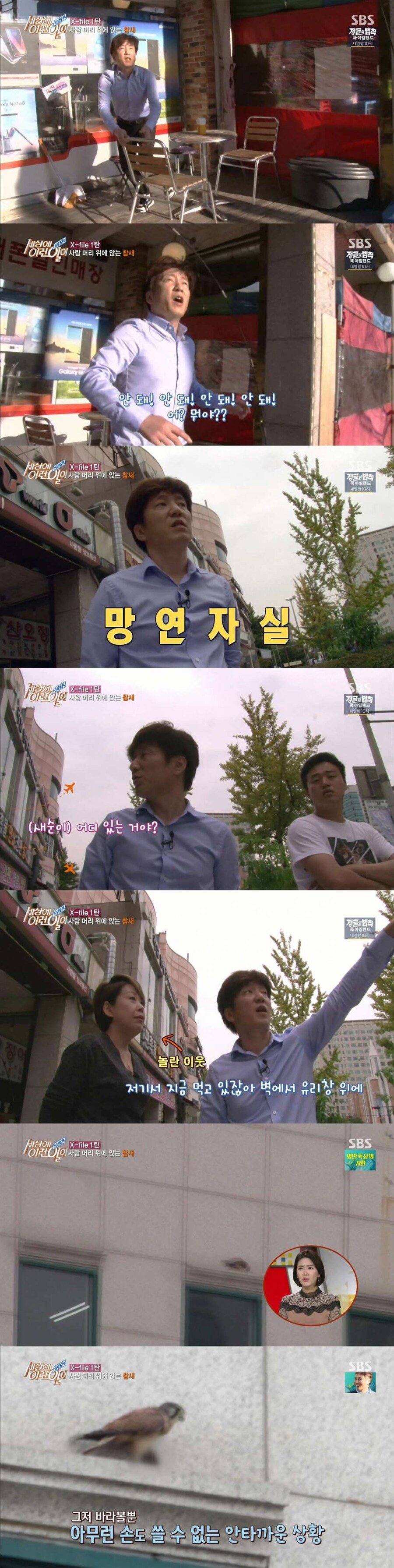 국내 방송중 돌발상황 레전드_2.jpg