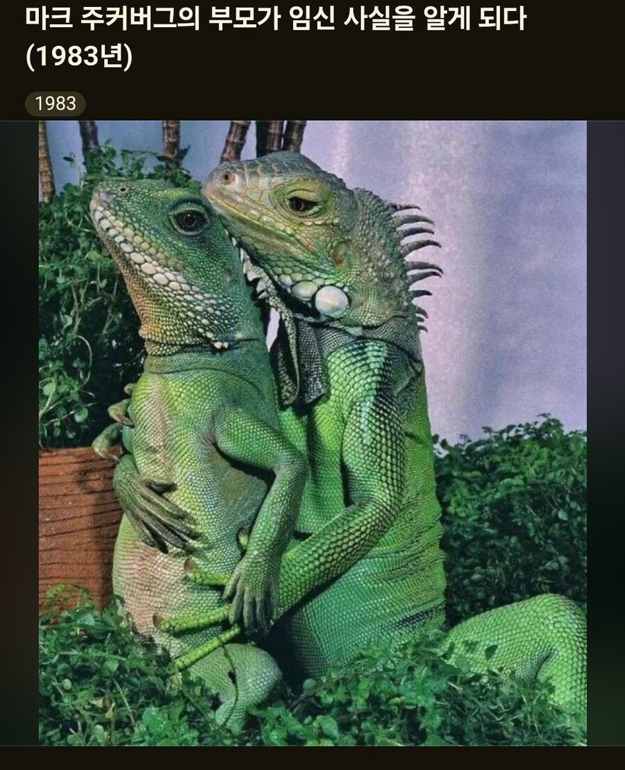랩틸리언의 임신.jpg_1.png