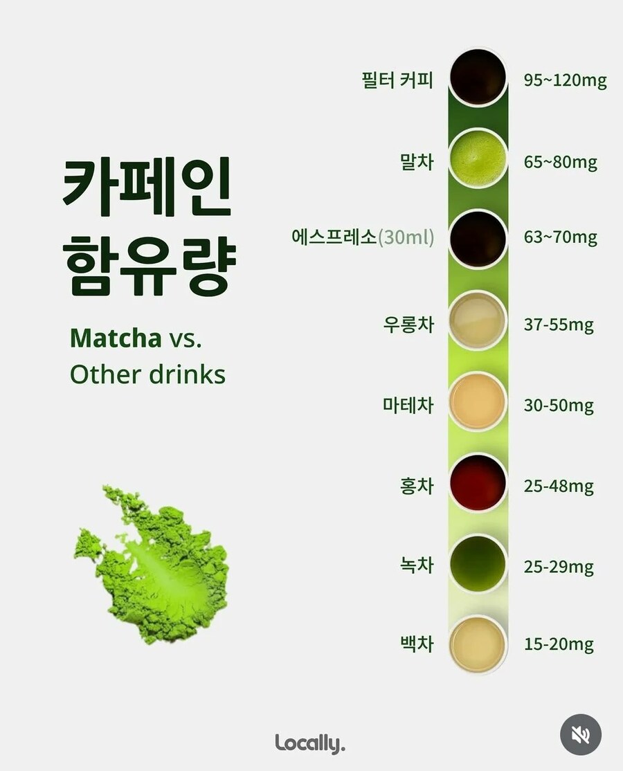 말차와 녹차의 차이점.jpg_2.jpg