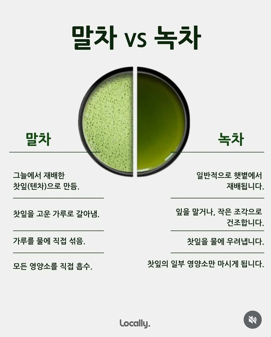 말차와 녹차의 차이점.jpg_1.jpg