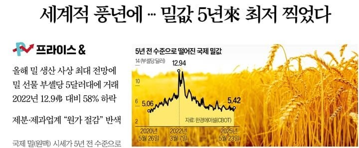 밀 세계적 풍년으로 밀가루값 5년기준 최저가 찍음_1.jpg
