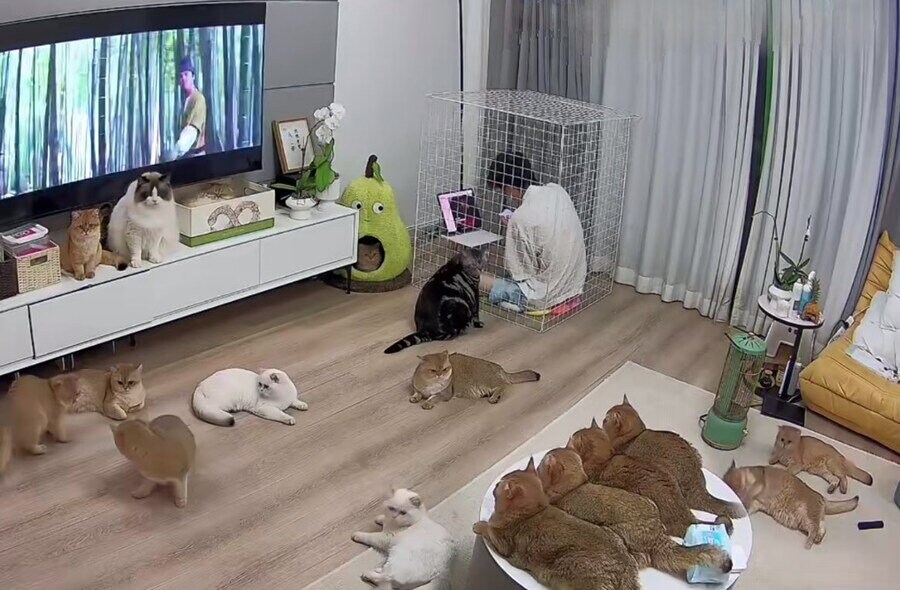 애완동물 키우는 집...._2.jpg