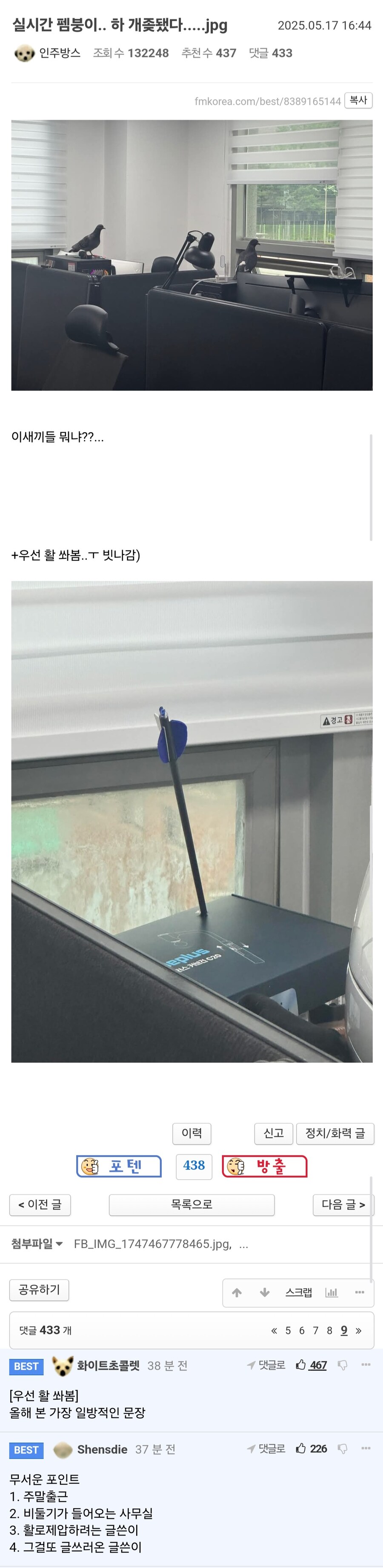 새끼들이 건방지게 인간님 영역에 들어와?_1.jpg