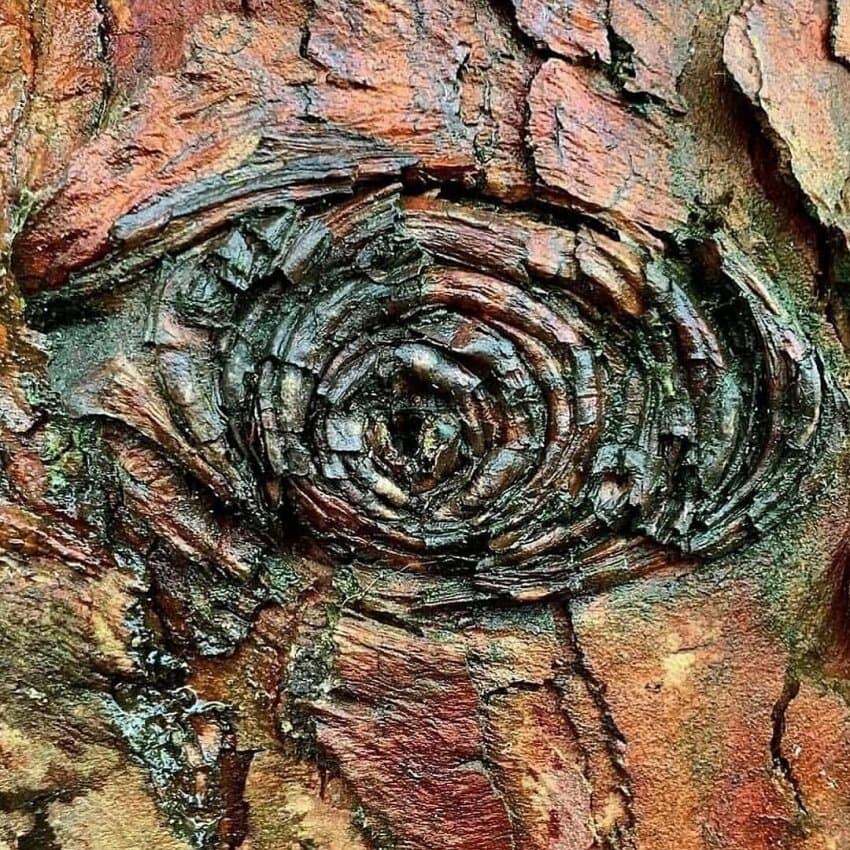 신비한 지구의 XX_6.jpg