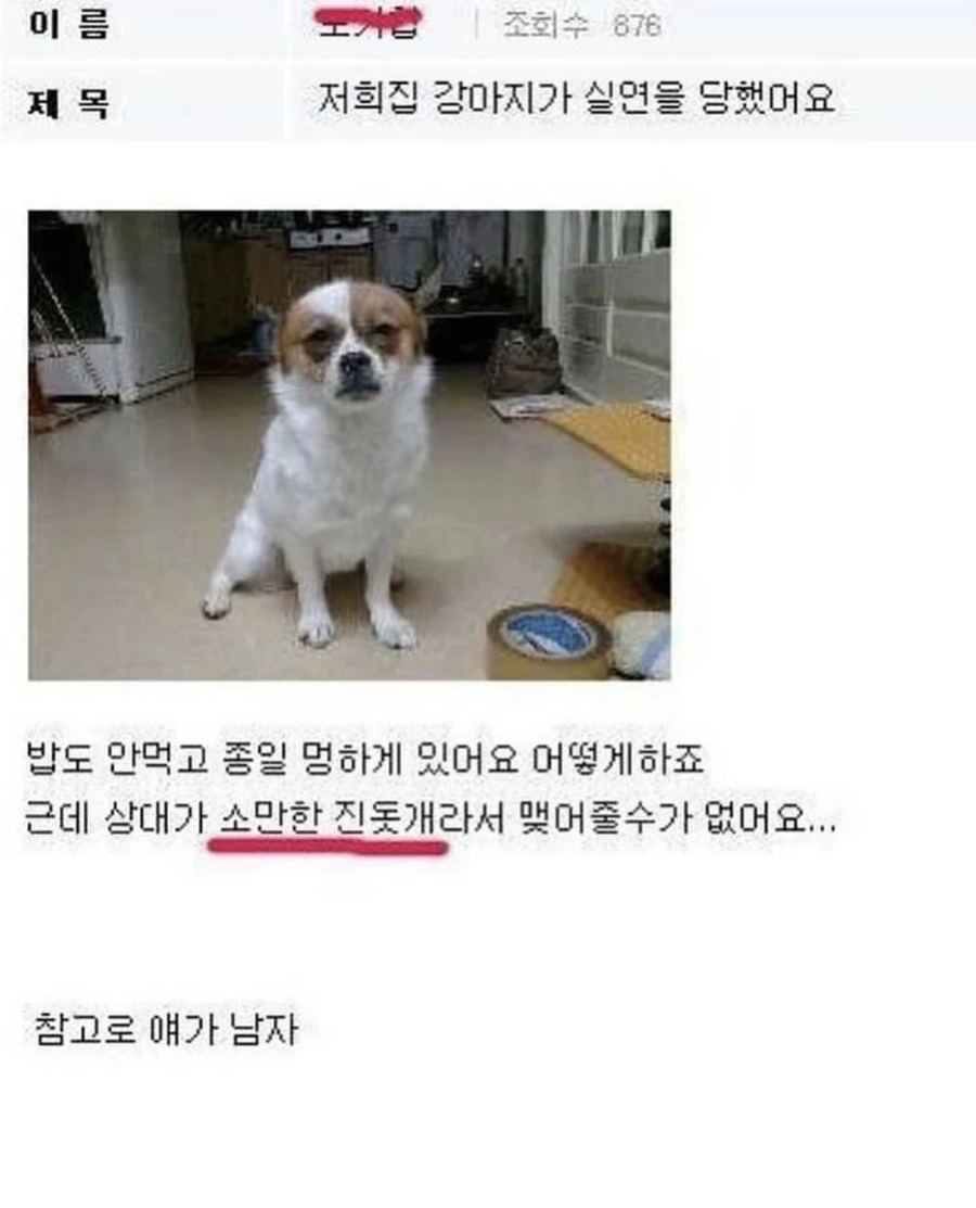 실연당한 강아지_1.webp