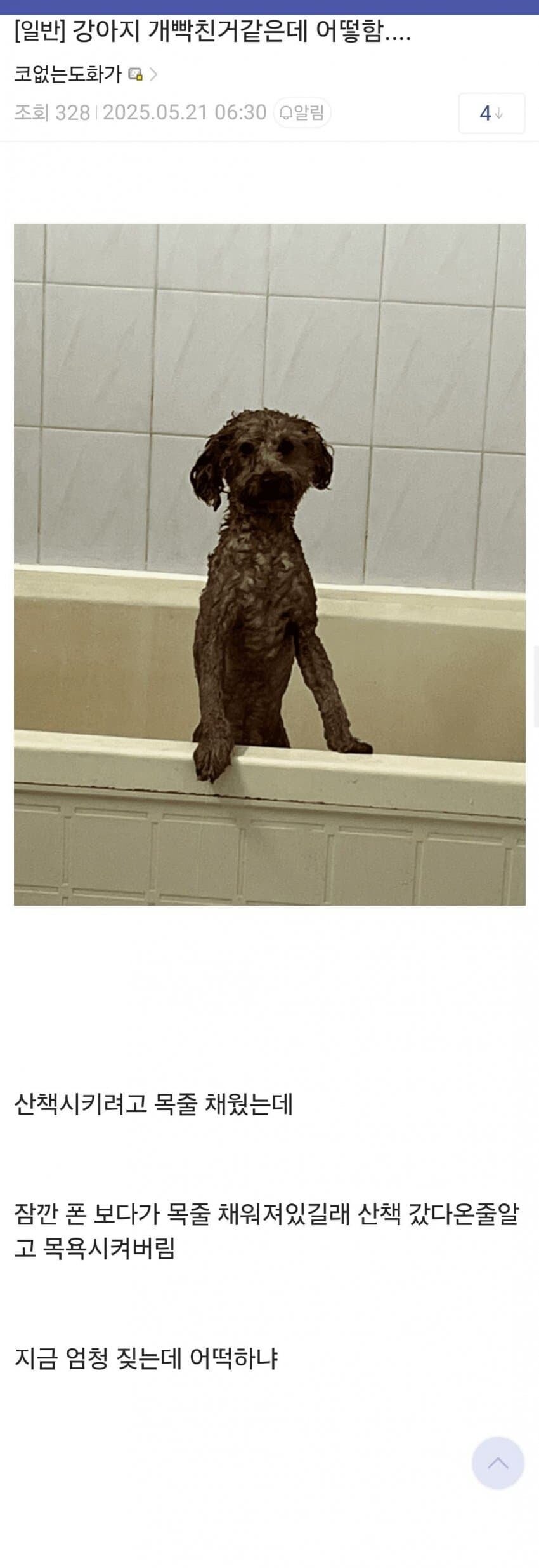 강아지 개빡친거 같은데 어떻함..._1.jpg