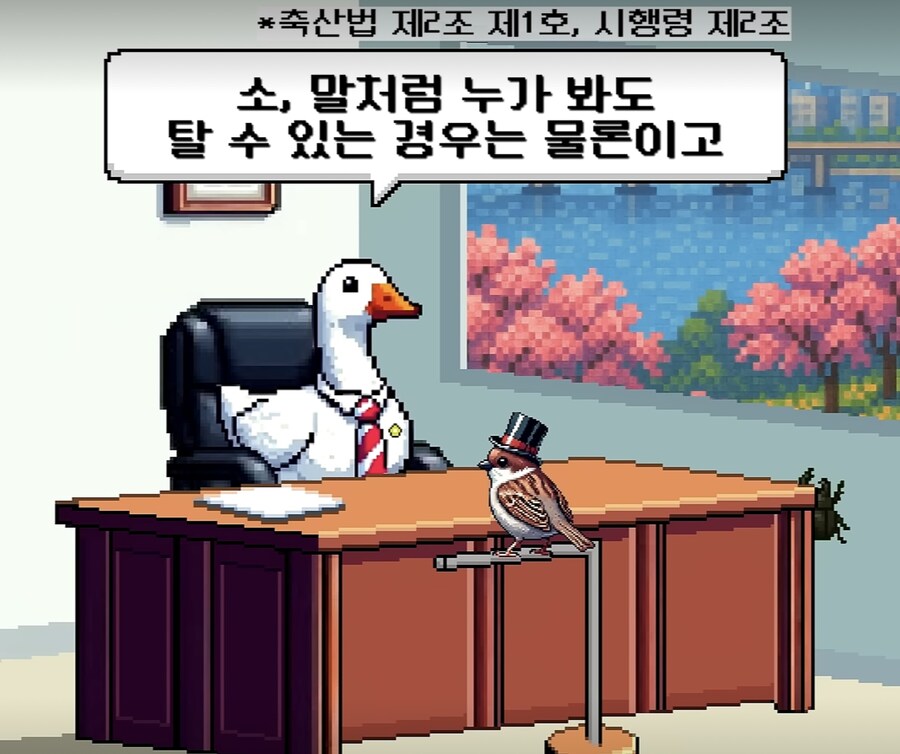 의외로 도로에서 타고다녀도 불법이 아닌거_4.jpg