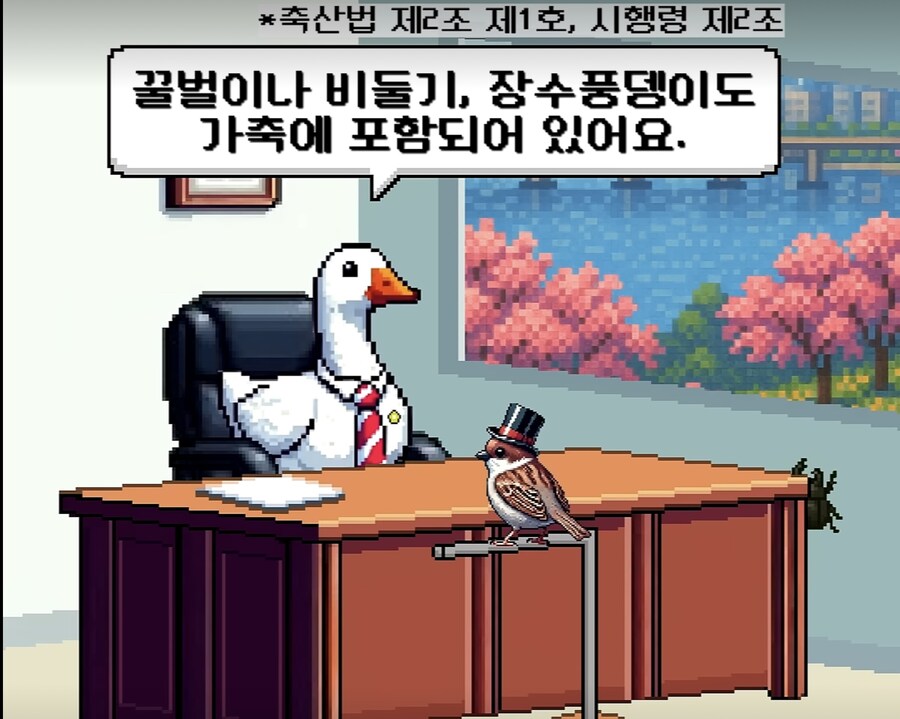 의외로 도로에서 타고다녀도 불법이 아닌거_5.jpg