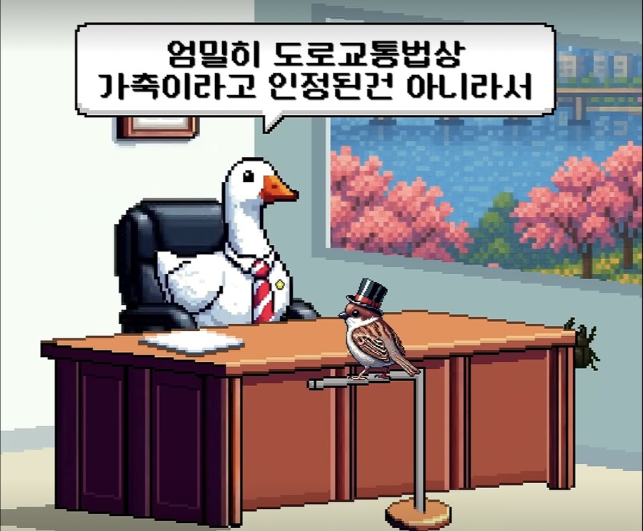 의외로 도로에서 타고다녀도 불법이 아닌거_8.jpg