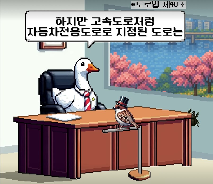 의외로 도로에서 타고다녀도 불법이 아닌거_12.jpg