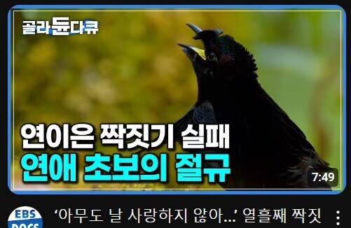 지속되는 실패에 결국 미쳐버림.jpg_1.jpg