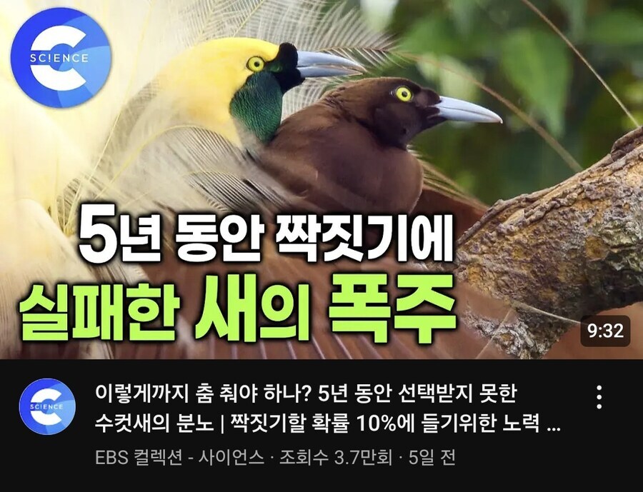지속되는 실패에 결국 미쳐버림.jpg_2.jpg