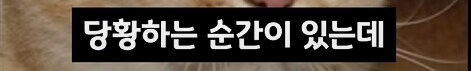 일본은 숟가락을 사용하지 않는다 -> 왜?_2.png