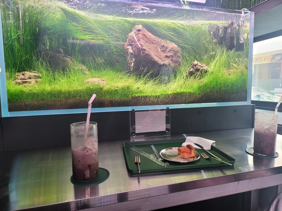와이프하고 밥먹고 카페옴_2.jpg