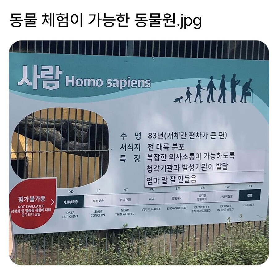 동물 체험이 가능한 동물원_1.jpg